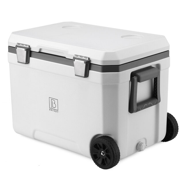 Nevera portátil Brisby de 45 l, color blanco