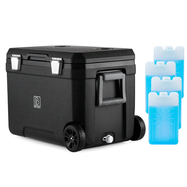 Glacière Brisby 45L Noir