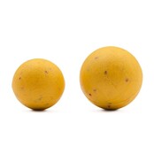 Cellula essenziale in plastica Korda