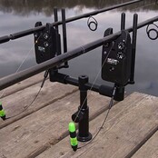 Orejas de zorro con etiqueta negra