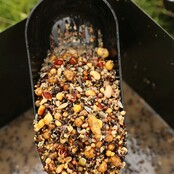 Fox Particle Baiting Spoon