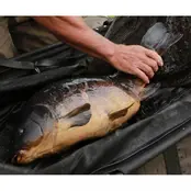 Sangle de rétention Sanctuary XL v2