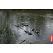 Sangle de rétention Sanctuary XL v2