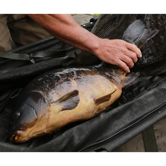 Sanctuary Slim Net Float