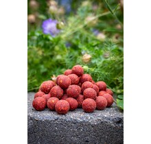 Pescado al ajillo extremo