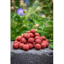 Poisson à l'ail extrême