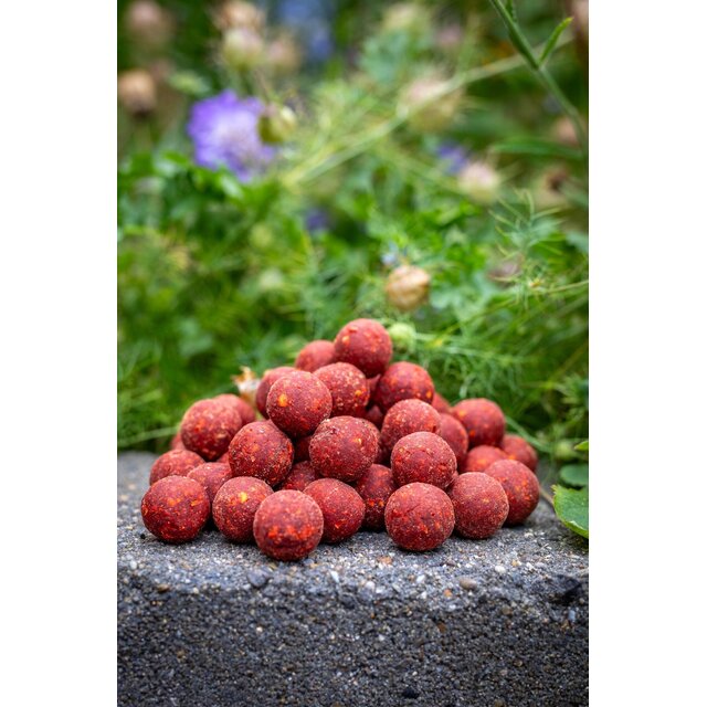 Pescado al ajillo extremo