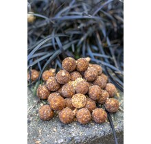 Boilies al krill Baitworld