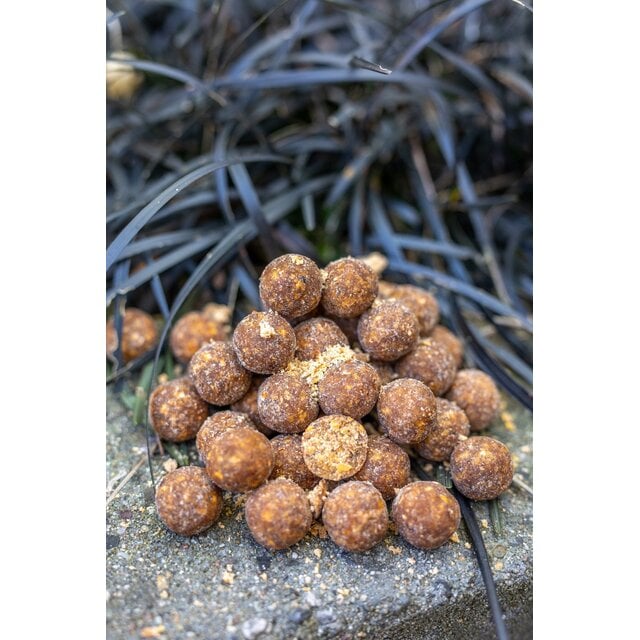 Boilies al krill Baitworld