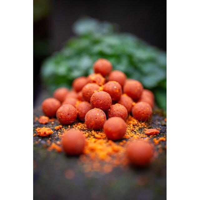 Milky Peach N Tutti Package Bulk DEAL