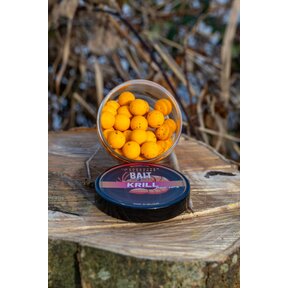 Collaboration Baitworld Krill Pop-up Forgotten Flavors