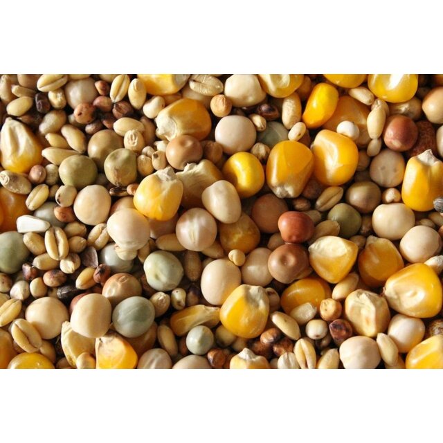 Baitworld Dry Pigeon Feed