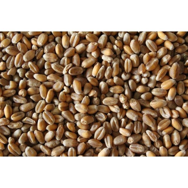 Baitworld Grano secco