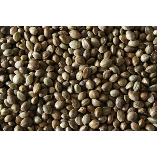 Baitworld Cáñamo seco