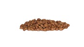 Baitworld Redskin peanuts dried
