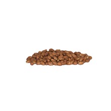 Cacahuetes secos con piel roja