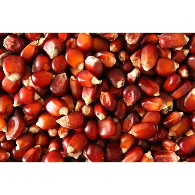 Baitworld Bordeaux Corn