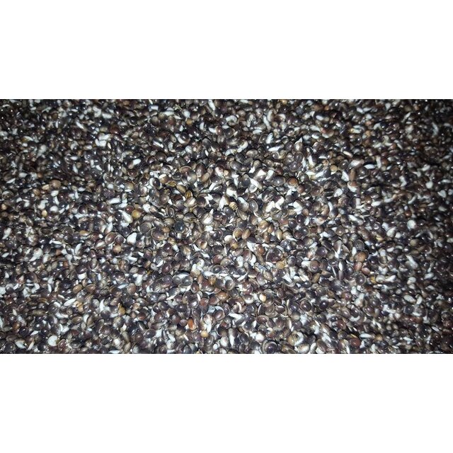 Baitworld Natural Hemp, Fresh & Ready to Use