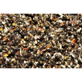 Canapa Chili, Fresca e Pronta all’Uso