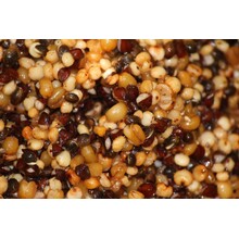 Frøblanding, Frisk og Klar til Brug