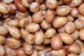 Baitworld Redskin Pinda's naturel kant en klaar vers