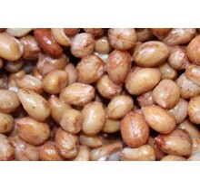 Baitworld Redskin Pinda's naturel kant en klaar vers