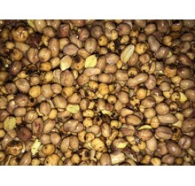 Baitworld Noix tigrées & cacahuètes Redskin nature – fraîches et prêtes à consommer