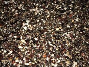 Baitworld Hemp & Buckwheat Mix – Fresh and Ready to Use