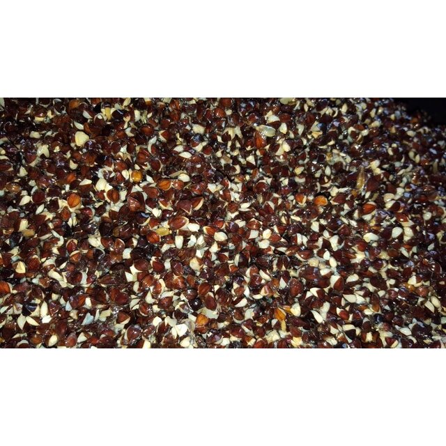 Baitworld Grano saraceno fresco pronto all'uso