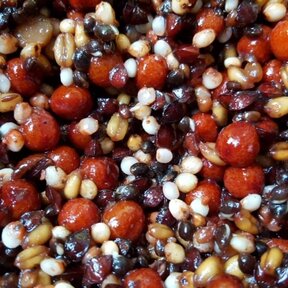 Mix di sciroppo d'acero e semi pronto all'uso, fresco