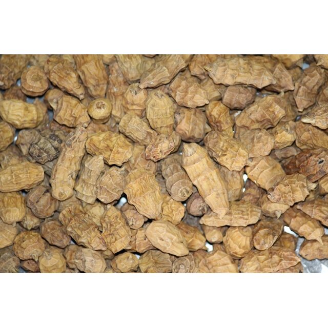 Chufas XXL Baitworldd de 15 a 35 mm secas