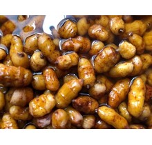 Baitword Noci di tigre XXL pronte da mangiare, fresche