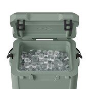 Dometic CI 15 Muschio