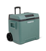 IE42 AC/DC  Thermo Elektrische Koelbox