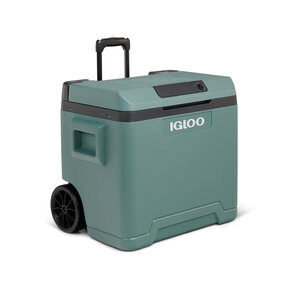 IE42 AC/DC  Thermo Elektrische Koelbox