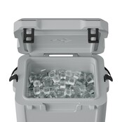 Dometic CI 15 Mist