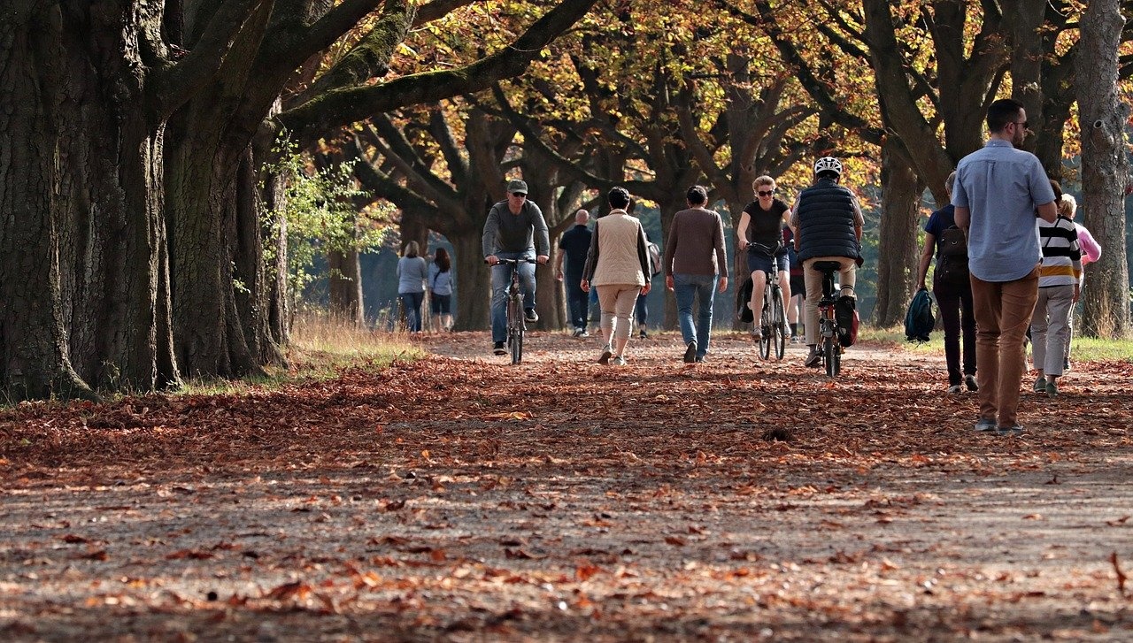 In de herfst op pad met uw scootmobiel? Zo kan dat veilig!