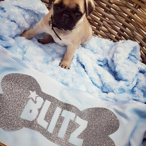 Glitz4kids Hondendeken | Met naam van je hond