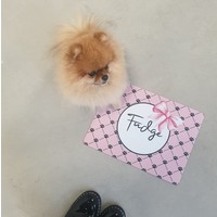 Honden placemat met naam |Lovely bow