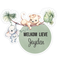 Geboorte raamsticker | Jungle