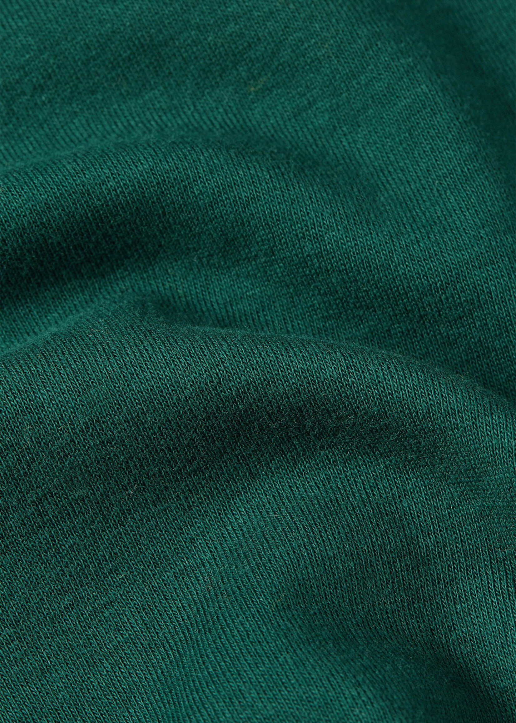 King Louie T-Shirt - Logo Tee - Botanical Green