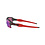 Oakley Flak 2.0 Xl Prizm Lens Smoke Grey/Red Frame