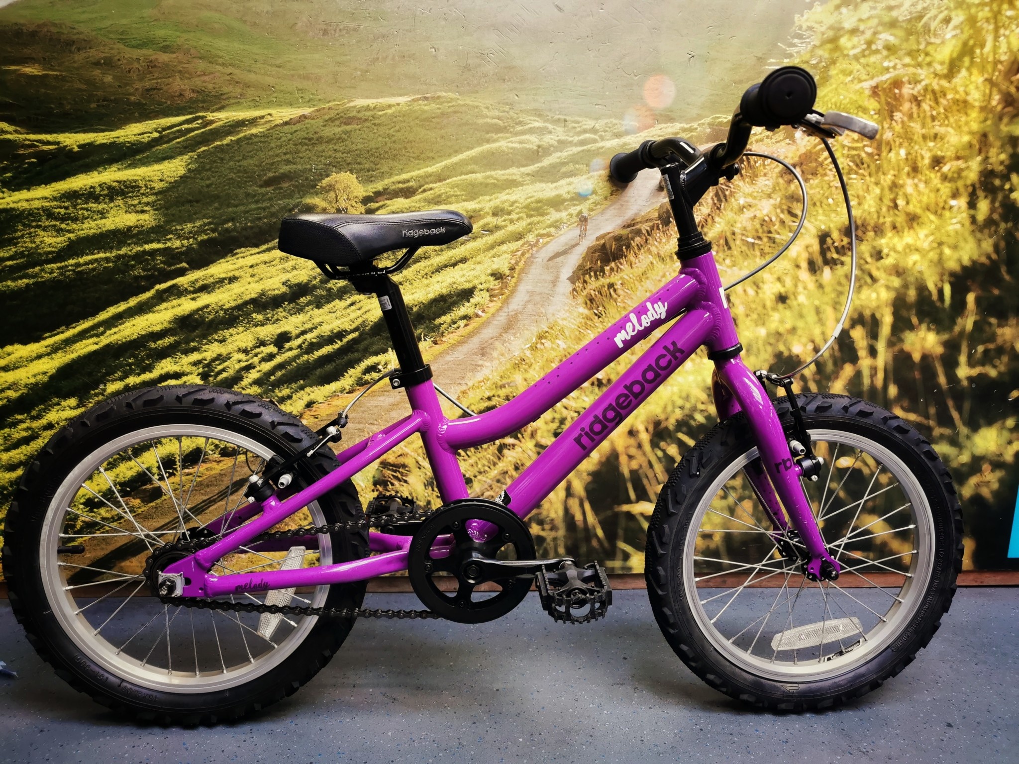 You added <b><u>Second Hand Kids Bike Ridgeback Melody 16w (From ~3 Years Old) -  *Private Sale*</u></b> to your cart.