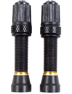  Schrader Tubeless Valves, Threaded Bronze (Pair)