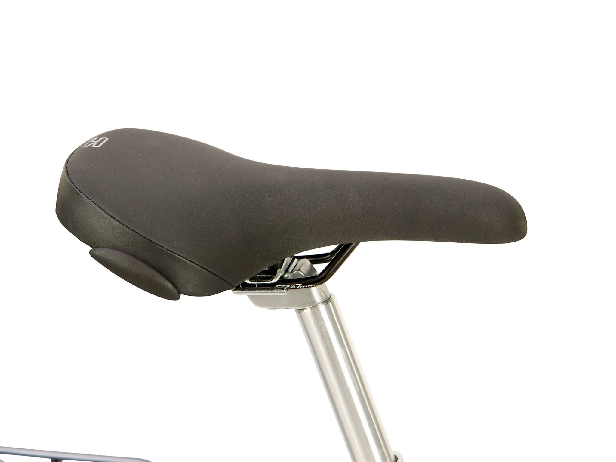 Raleigh pioneer cheap electric crossbar