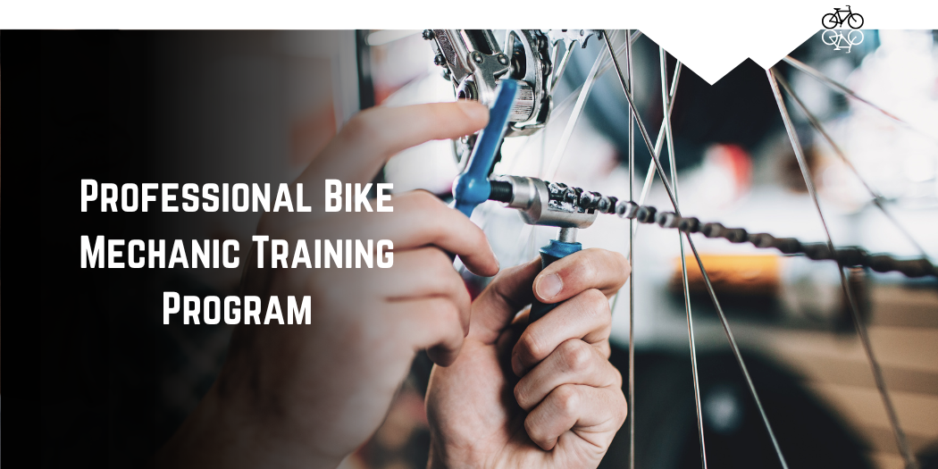 A professional bike mechanic training