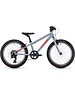 Cube Cube Acid 200 Kids Bike 20W Grey/Red | Height: 111 - 124 Cm | Inseam: 49 - 57 Cm | Age 6-8