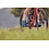 Shimano Rc5 (Rc502)  Spd-Sl Road Shoes