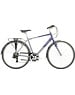 Raleigh Raleigh Pioneer Crossbar Frame Tour City Bike Blue/Grey