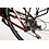 Ridgeback Avenida 1 x 6 Speed LDS Open Frame City Bike Red
